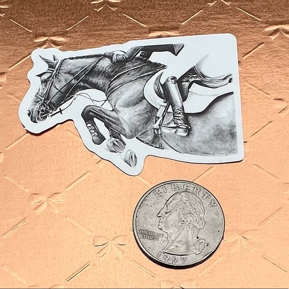 Equestrian Horse Girl Horse Boy Cowboy CowGirl Single Sticker - Picture 2 of 3